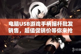 电脑USB游戏手柄摇杆批发销售，超值促销价等你来抢购