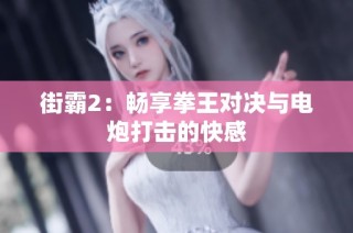 街霸2：畅享拳王对决与电炮打击的快感