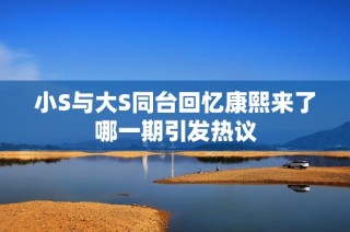 小S与大S同台回忆康熙来了哪一期引发热议