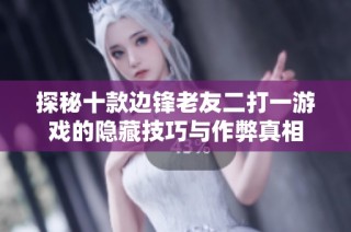 探秘十款边锋老友二打一游戏的隐藏技巧与作弊真相