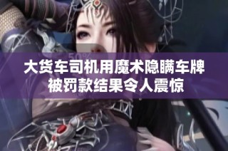 大货车司机用魔术隐瞒车牌 被罚款结果令人震惊