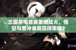 三国杀电竞赛重燃战火，悟空与曹冲谁能赢得荣耀？