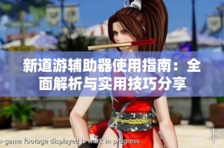 新道游辅助器使用指南：全面解析与实用技巧分享
