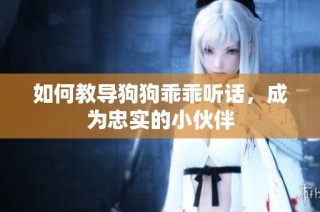 如何教导狗狗乖乖听话，成为忠实的小伙伴