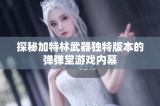 探秘加特林武器独特版本的弹弹堂游戏内幕