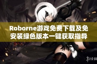 Roborne游戏免费下载及免安装绿色版本一键获取指导