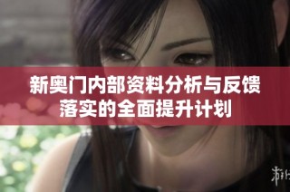 新奥门内部资料分析与反馈落实的全面提升计划