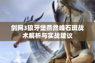 剑网3狼牙堡燕然峰石斑战术解析与实战建议