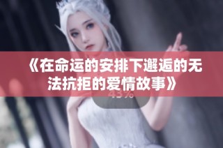 《在命运的安排下邂逅的无法抗拒的爱情故事》