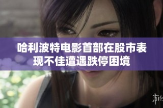 哈利波特电影首部在股市表现不佳遭遇跌停困境
