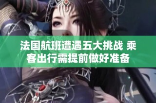 法国航班遭遇五大挑战 乘客出行需提前做好准备