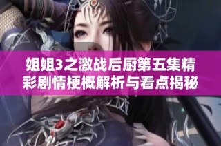 姐姐3之激战后厨第五集精彩剧情梗概解析与看点揭秘