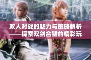 双人对战的魅力与策略解析——探索双剑合璧的精彩玩法与乐趣