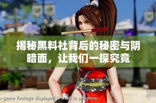 揭秘黑料社背后的秘密与阴暗面，让我们一探究竟