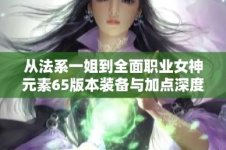 从法系一姐到全面职业女神元素65版本装备与加点深度解析
