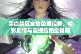 黑白禁区全集免费观看，精彩剧情与震撼结局全揭晓