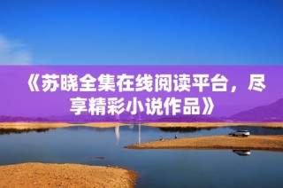 《苏晓全集在线阅读平台，尽享精彩小说作品》