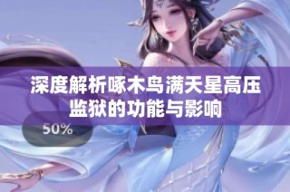 深度解析啄木鸟满天星高压监狱的功能与影响