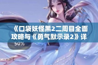 《口袋妖怪黑2二周目全面攻略与《勇气默示录2》详细图文指南》