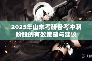 2025年山东考研备考冲刺阶段的有效策略与建议