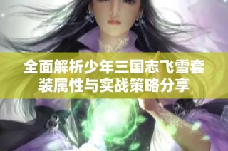 全面解析少年三国志飞雪套装属性与实战策略分享