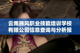 云南腾风职业技能培训学校有限公司信息查询与分析报告