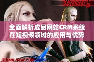全面解析成品网站CRM系统在短视频领域的应用与优势