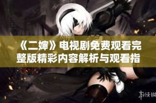 《二婶》电视剧免费观看完整版精彩内容解析与观看指南