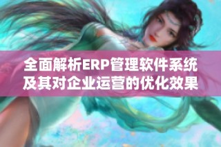 全面解析ERP管理软件系统及其对企业运营的优化效果
