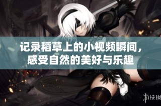 记录稻草上的小视频瞬间，感受自然的美好与乐趣