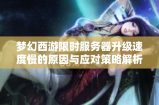 梦幻西游限时服务器升级速度慢的原因与应对策略解析