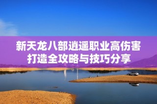 新天龙八部逍遥职业高伤害打造全攻略与技巧分享