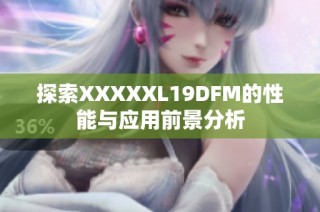 探索XXXXXL19DFM的性能与应用前景分析