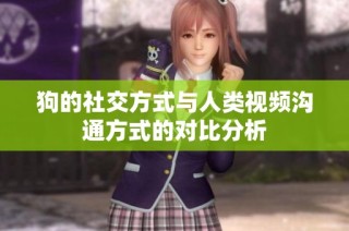 狗的社交方式与人类视频沟通方式的对比分析