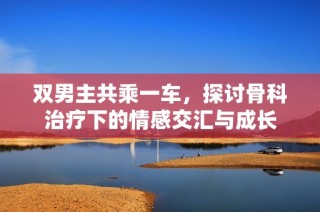 双男主共乘一车，探讨骨科治疗下的情感交汇与成长