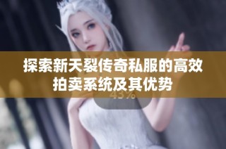 探索新天裂传奇私服的高效拍卖系统及其优势