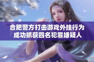 合肥警方打击游戏外挂行为 成功抓获四名犯罪嫌疑人