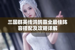三国群英传鸿鹄霸业最佳阵容搭配及攻略详解