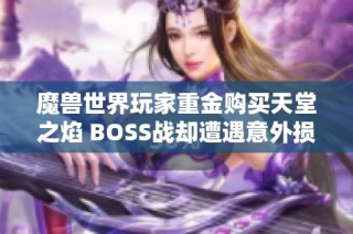 魔兽世界玩家重金购买天堂之焰 BOSS战却遭遇意外损失