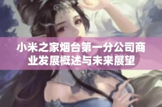 小米之家烟台第一分公司商业发展概述与未来展望