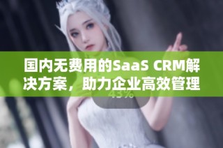 国内无费用的SaaS CRM解决方案，助力企业高效管理客户关系