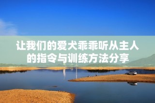 让我们的爱犬乖乖听从主人的指令与训练方法分享