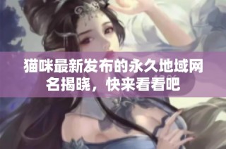 猫咪最新发布的永久地域网名揭晓，快来看看吧