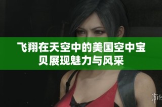 飞翔在天空中的美国空中宝贝展现魅力与风采