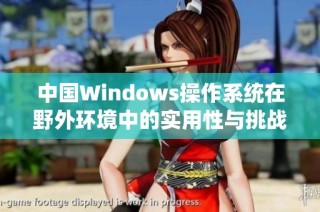 中国Windows操作系统在野外环境中的实用性与挑战分析