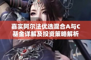 嘉实阿尔法优选混合A与C基金详解及投资策略解析