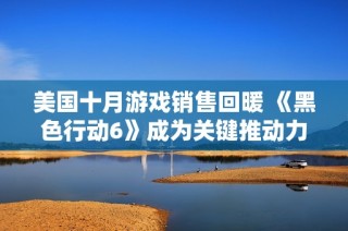 美国十月游戏销售回暖 《黑色行动6》成为关键推动力
