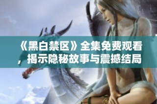 《黑白禁区》全集免费观看，揭示隐秘故事与震撼结局的精彩剧评