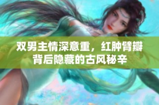 双男主情深意重，红肿臂瓣背后隐藏的古风秘辛