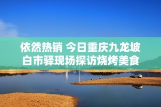 依然热销 今日重庆九龙坡白市驿现场探访烧烤美食